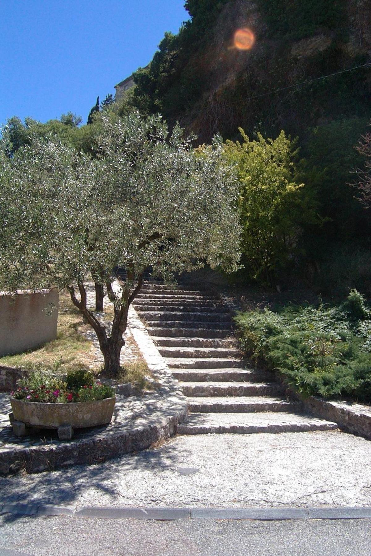 Hostellerie Le Beffroi Vaison-la-Romaine Exterior foto